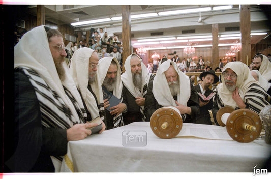 תמונה JEM ID -175743