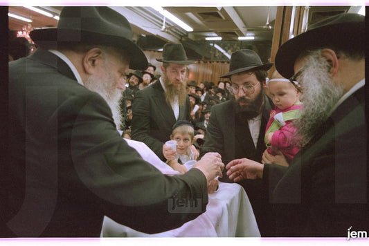 Photo Order - JEM ID #176896 - Prints / 8x12