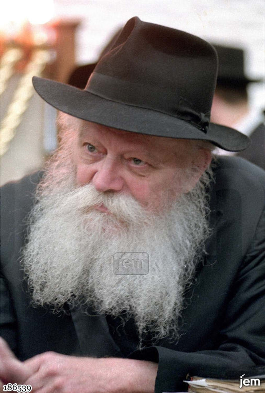 תמונה JEM ID -186539
