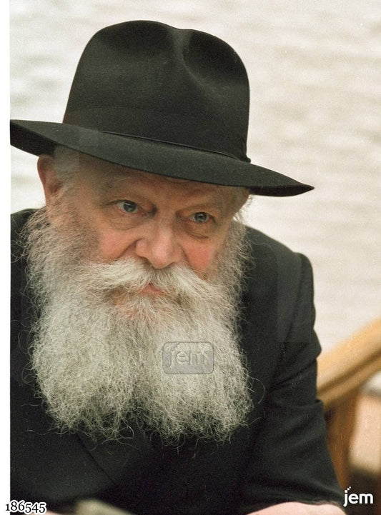 תמונה 186545