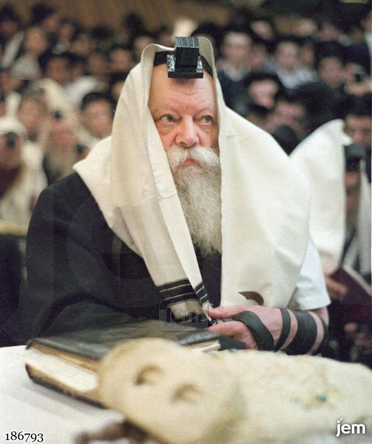 תמונה JEM ID -186793