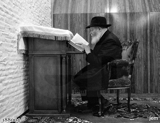 תמונה JEM ID -188004