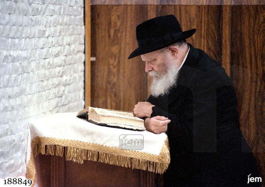 תמונה JEM ID -188849
