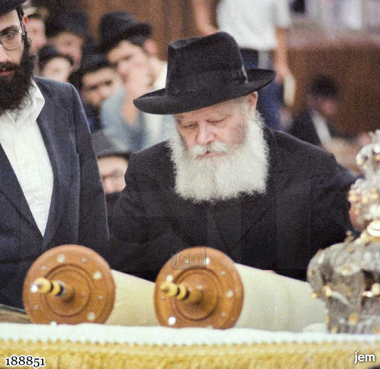 תמונה JEM ID -188851