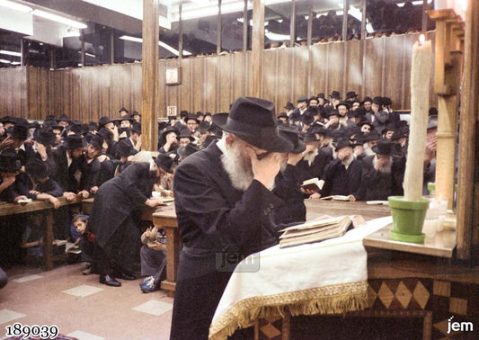 תמונה JEM ID -189039