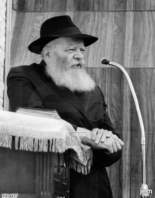 תמונה 191407