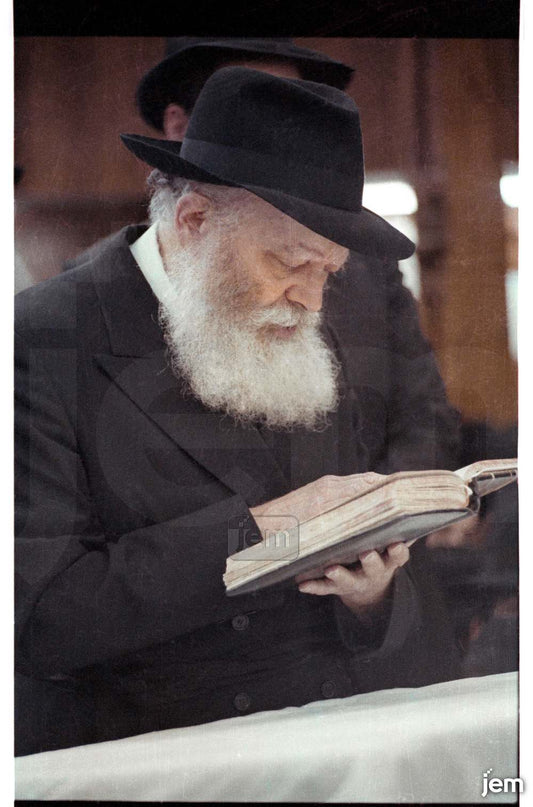 תמונה JEM ID -192016