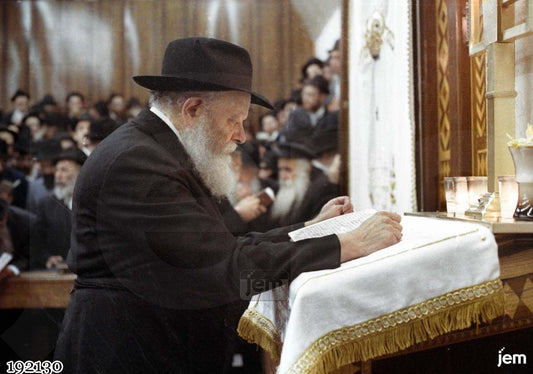 תמונה JEM ID -192130