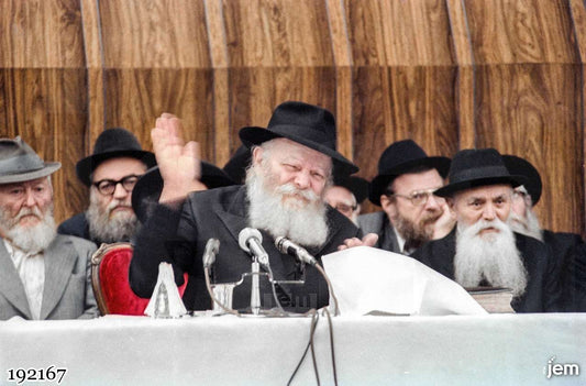 תמונה JEM ID -192167