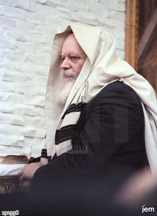 תמונה JEM ID -192338