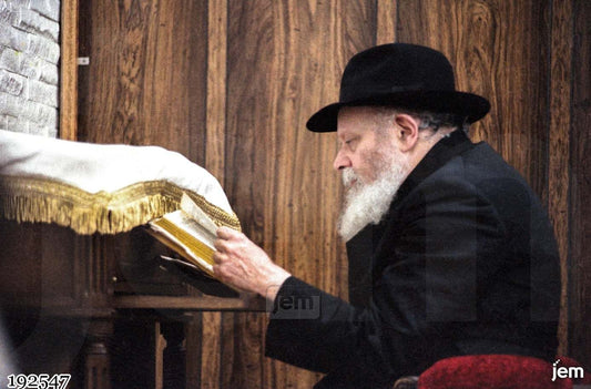 תמונה JEM ID -192547