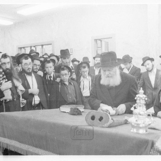 Photo Order - JEM ID #193584 - Prints / 20x20