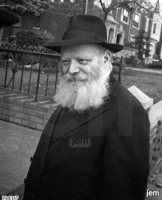 תמונה JEM ID -17475