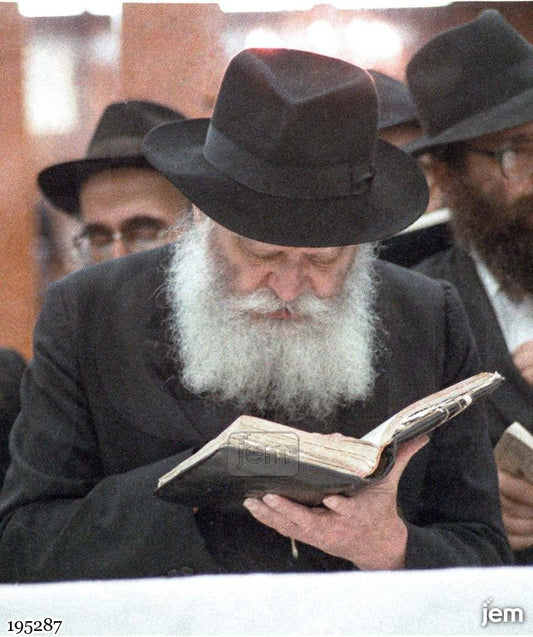 תמונה JEM ID -195287