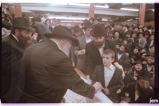 Photo Order - JEM ID #196808 - Prints / 8x12