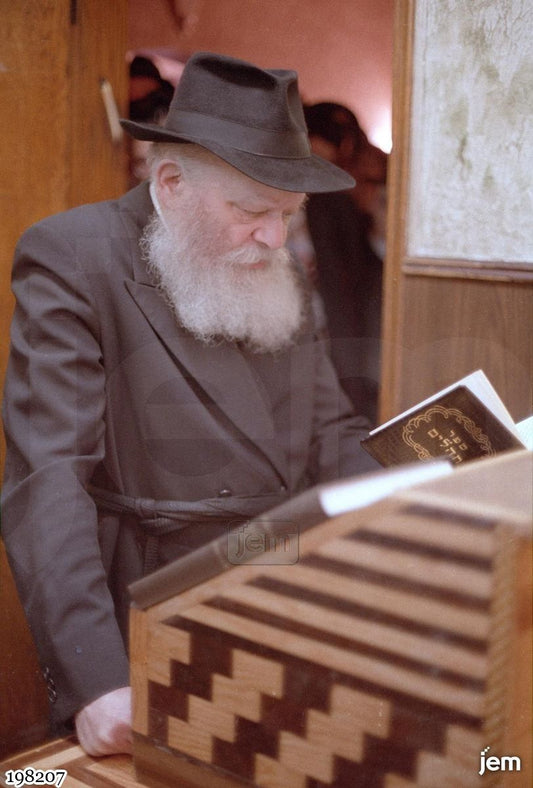 תמונה JEM ID -198207