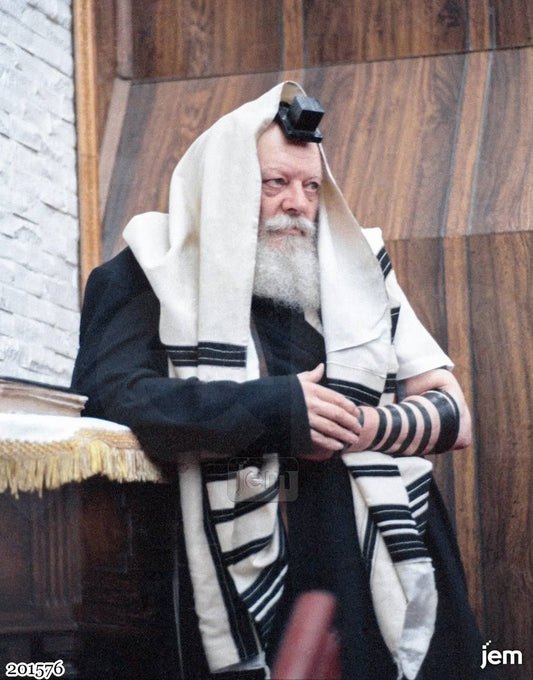 תמונה JEM ID -201576