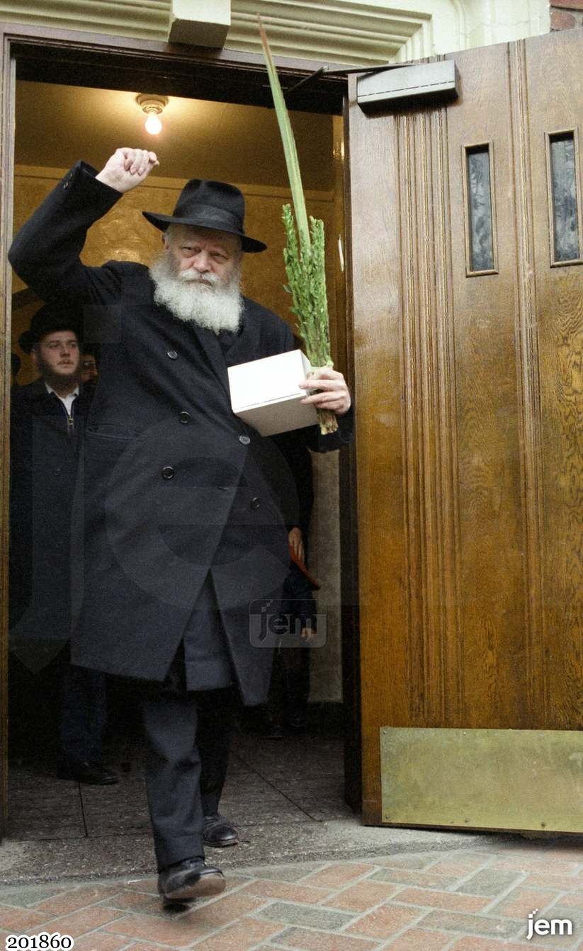 תמונה JEM ID -201860