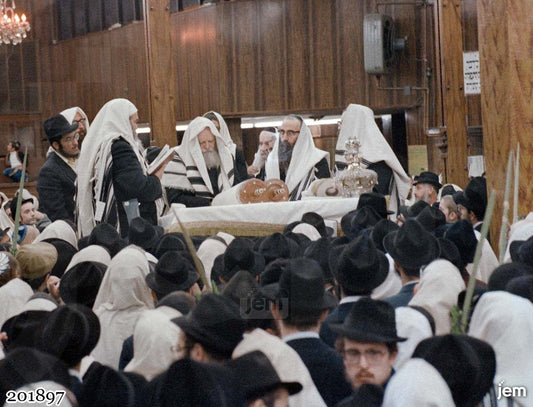 תמונה JEM ID -201897