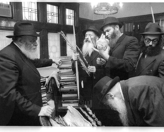 Photo Order - JEM ID #204628 - Metal / 8x10