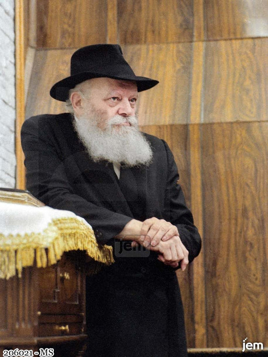 תמונה JEM ID -206021