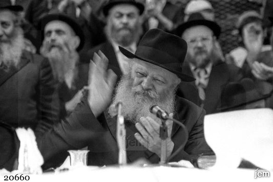 תמונה JEM ID -20660