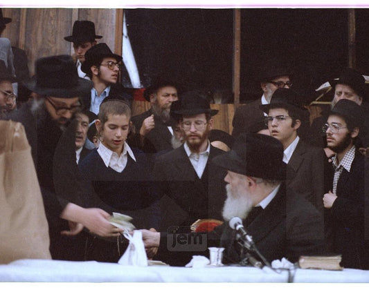 Photo Order - JEM ID #206787 - Prints / 11x14