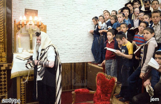תמונה JEM ID -206794