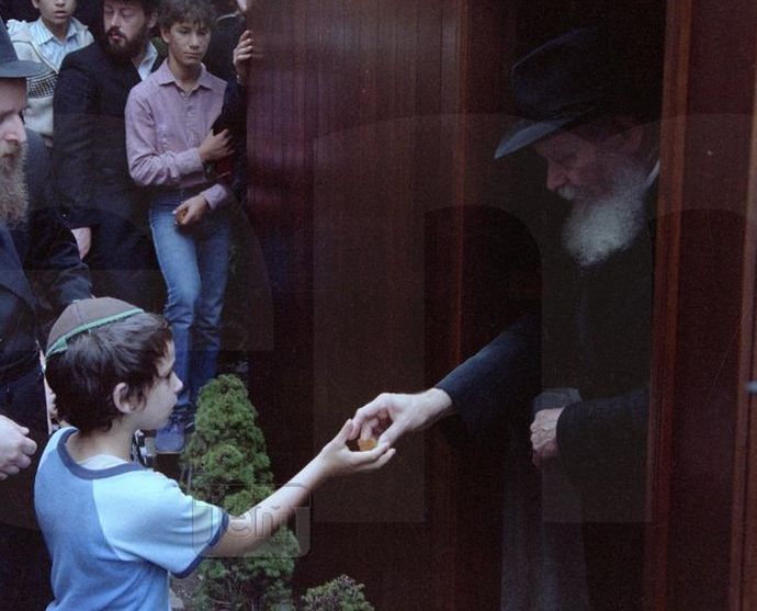 Photo Order - JEM ID #208040 - Prints / 8x10