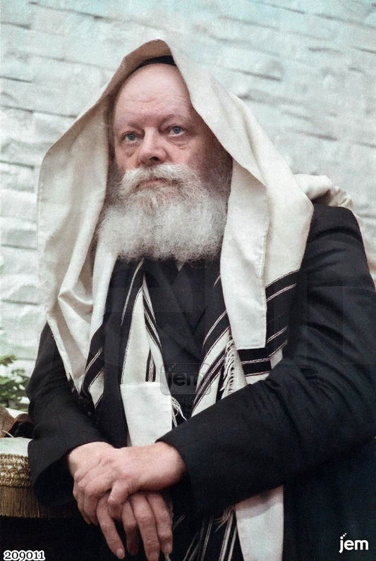 תמונה JEM ID -209011