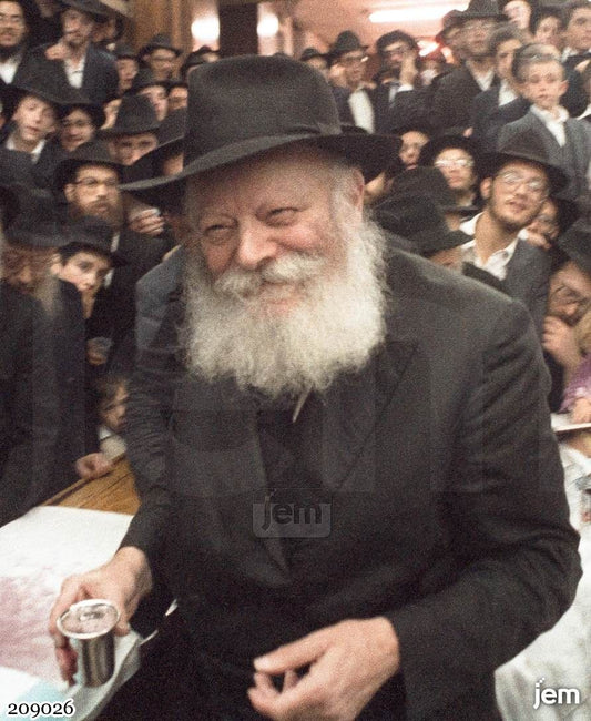תמונה JEM ID -209026