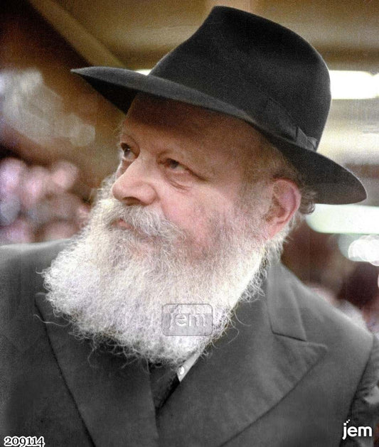 תמונה JEM ID -209114