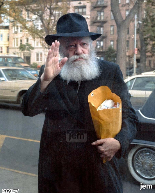 תמונה JEM ID -17488