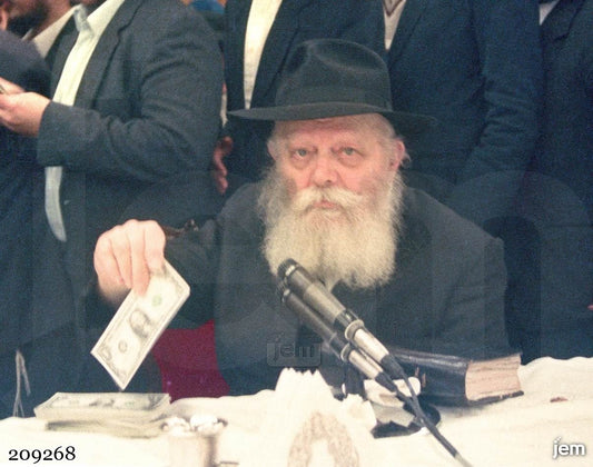 תמונה JEM ID -209268