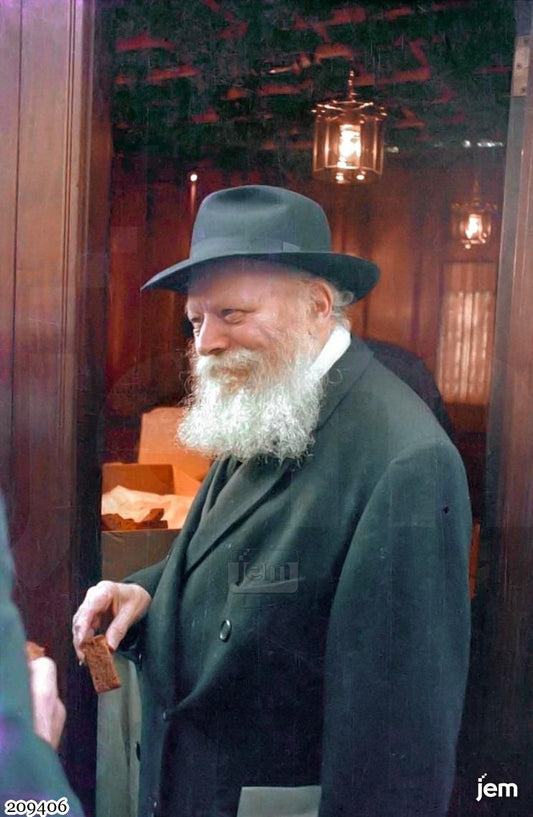 תמונה JEM ID -209406