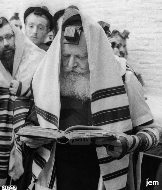 תמונה JEM ID -21072