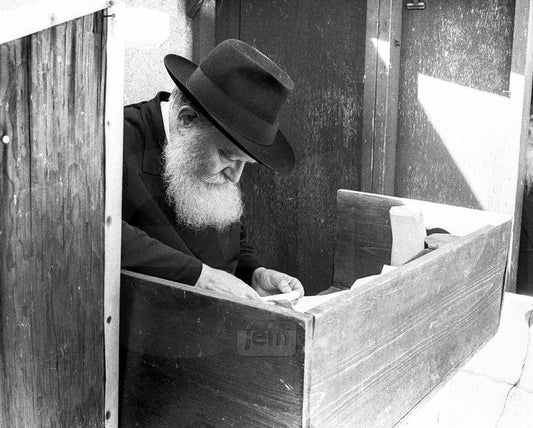 Photo Order - JEM ID #21194 - Prints / 8x10