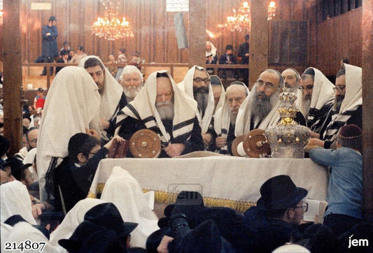 תמונה JEM ID -214807