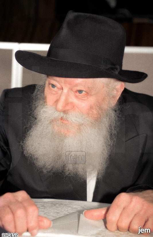תמונה JEM ID -217452