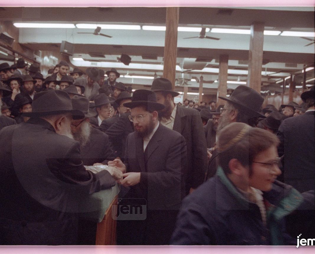 Photo Order - JEM ID #221731 - Prints / 8x10