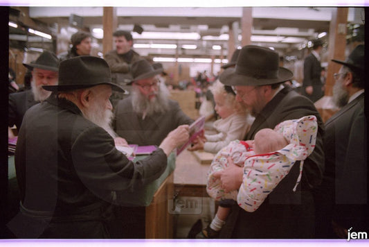Photo Order - JEM ID #222686 - Prints / 8x12