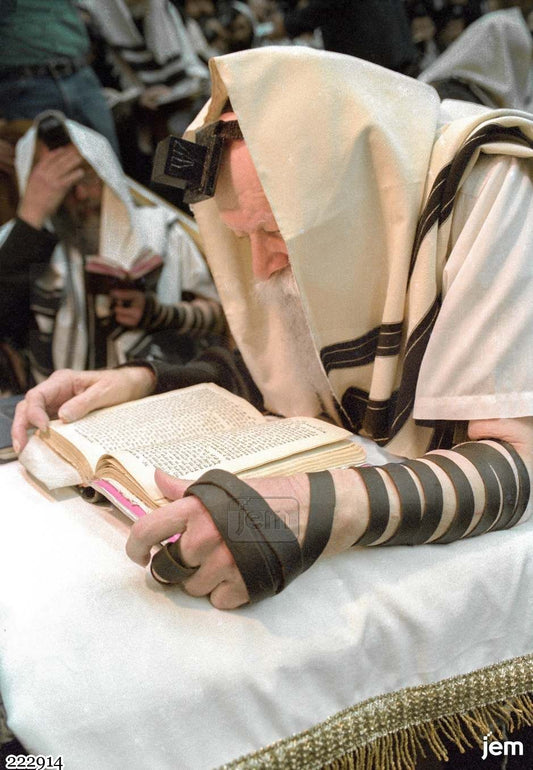 תמונה JEM ID -222914