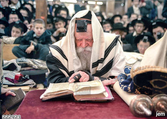 תמונה JEM ID -222923