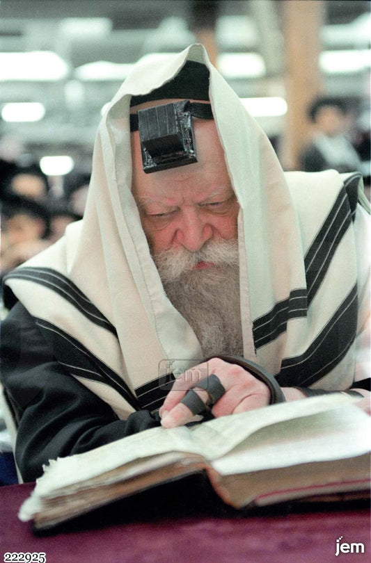 תמונה JEM ID -222925