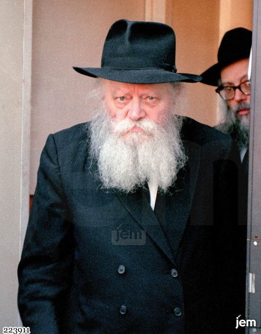תמונה JEM ID -223911