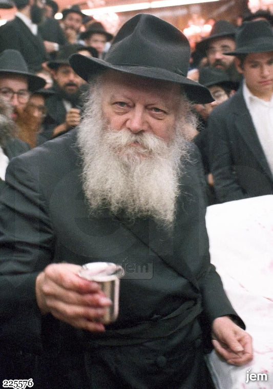 תמונה JEM ID -225576