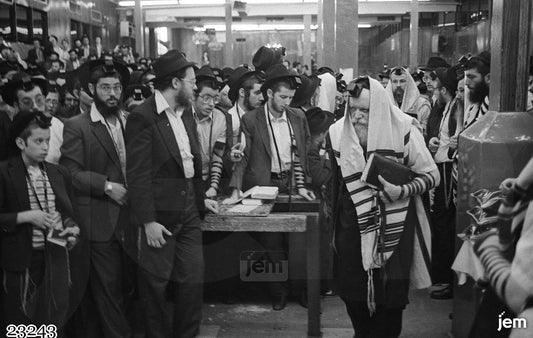 תמונה JEM ID -23243