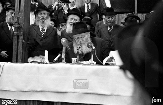 תמונה JEM ID -23282