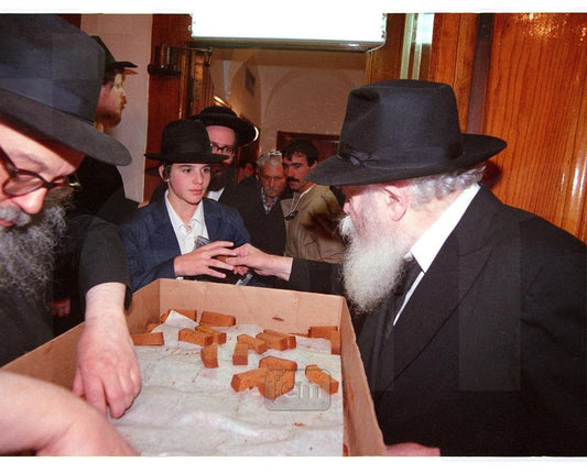 Photo Order - JEM ID #233700 - Prints / 8x10