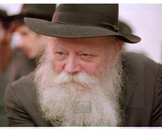 Photo Order - JEM ID #235886 - Prints / 8x10